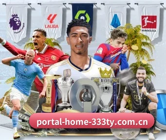 portal-home-333ty.com.cn APP 界面